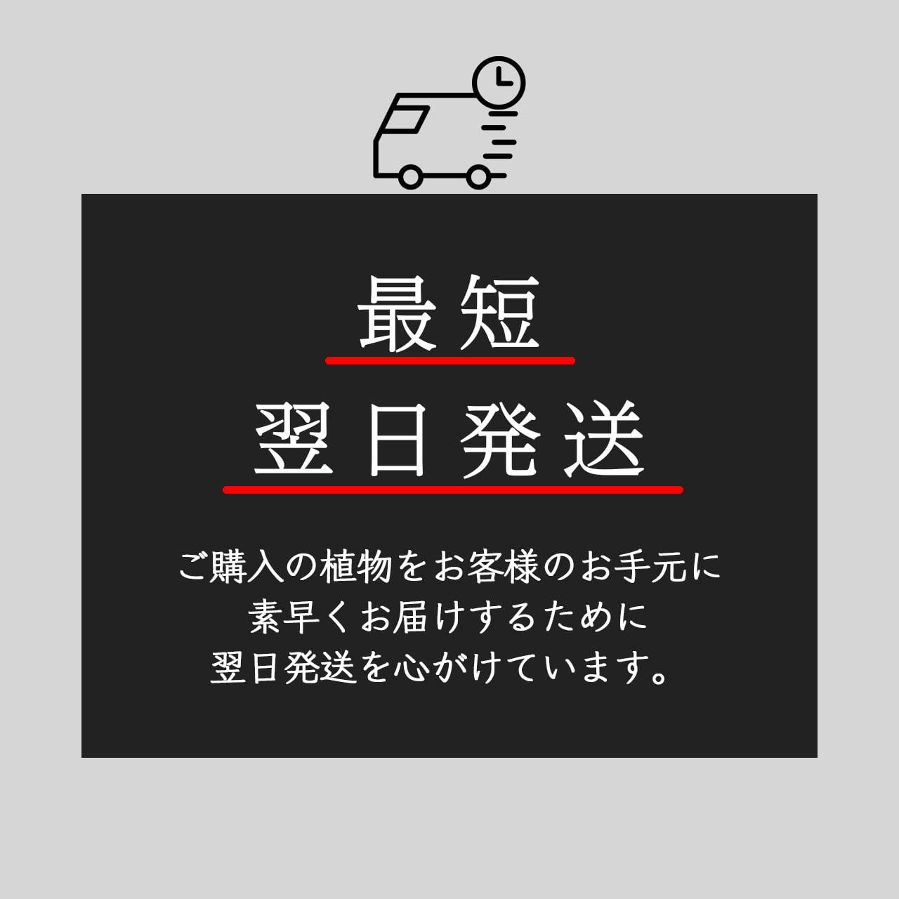 アガベ ジェントリー ラ・エスコンディーダ【603】 | PROTOLEAF プロト