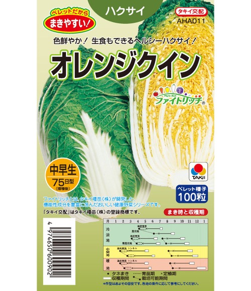 ハクサイ 「オレンジクイン」（P5000粒） 画像