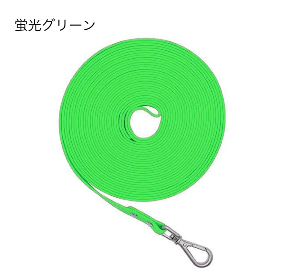 未使用 イルビゾンテ ドッグリード 緑 未使用 イルビゾンテ ドッグ