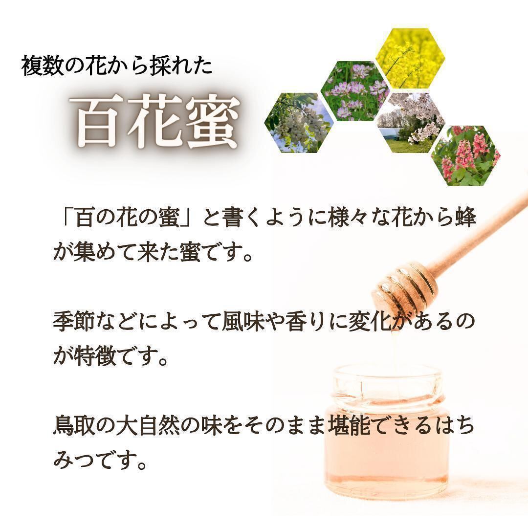 はちみつ 150g×3瓶 蜂蜜 ハチミツ 国産 | あんどう青果 はちみつ 150g×3瓶 蜂蜜 ハチミツ 国産 | あんどう青果