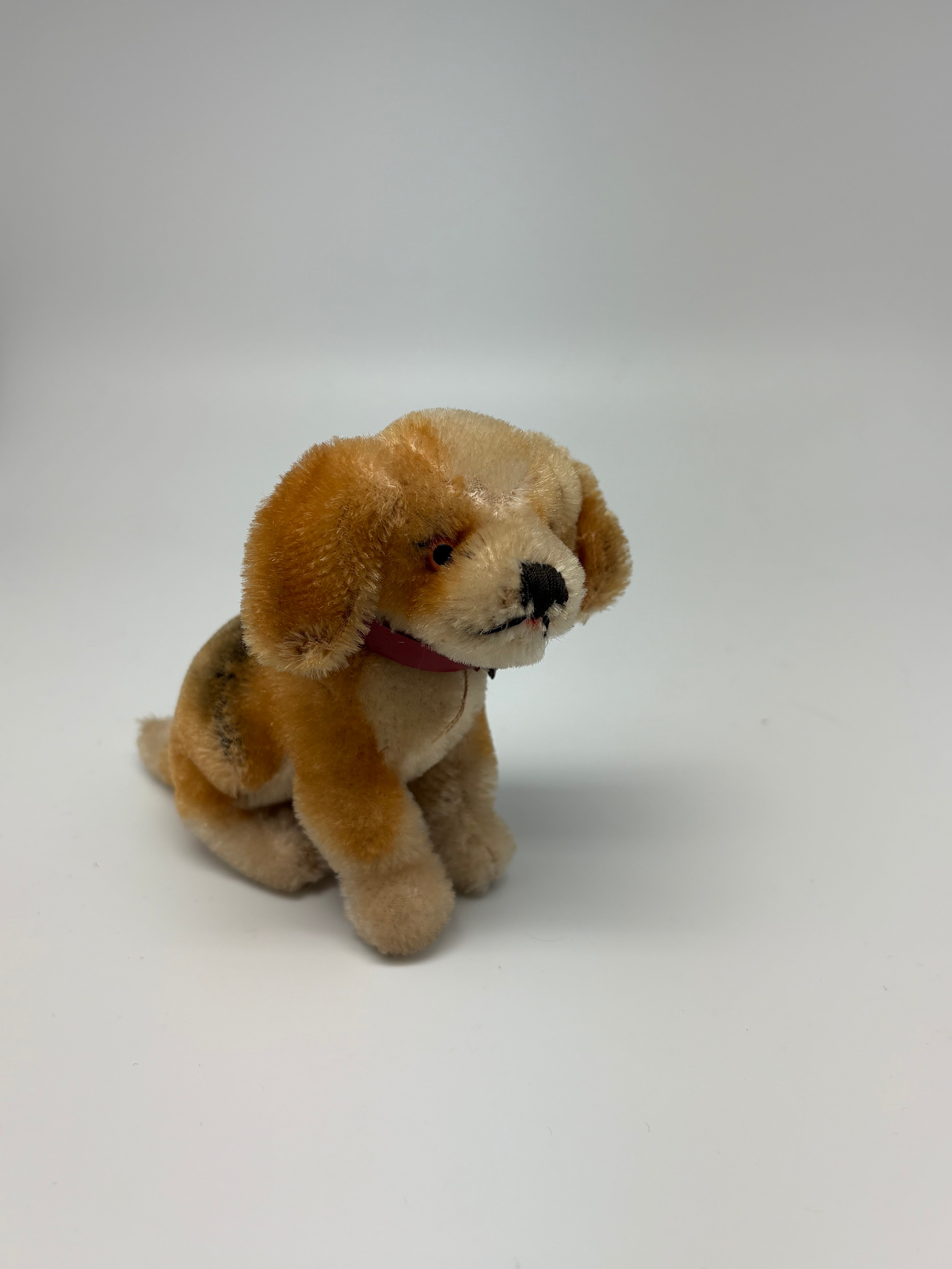 オールド シュタイフ ダックスフンド Steiff Hexie 9cm | ヒガシマチ