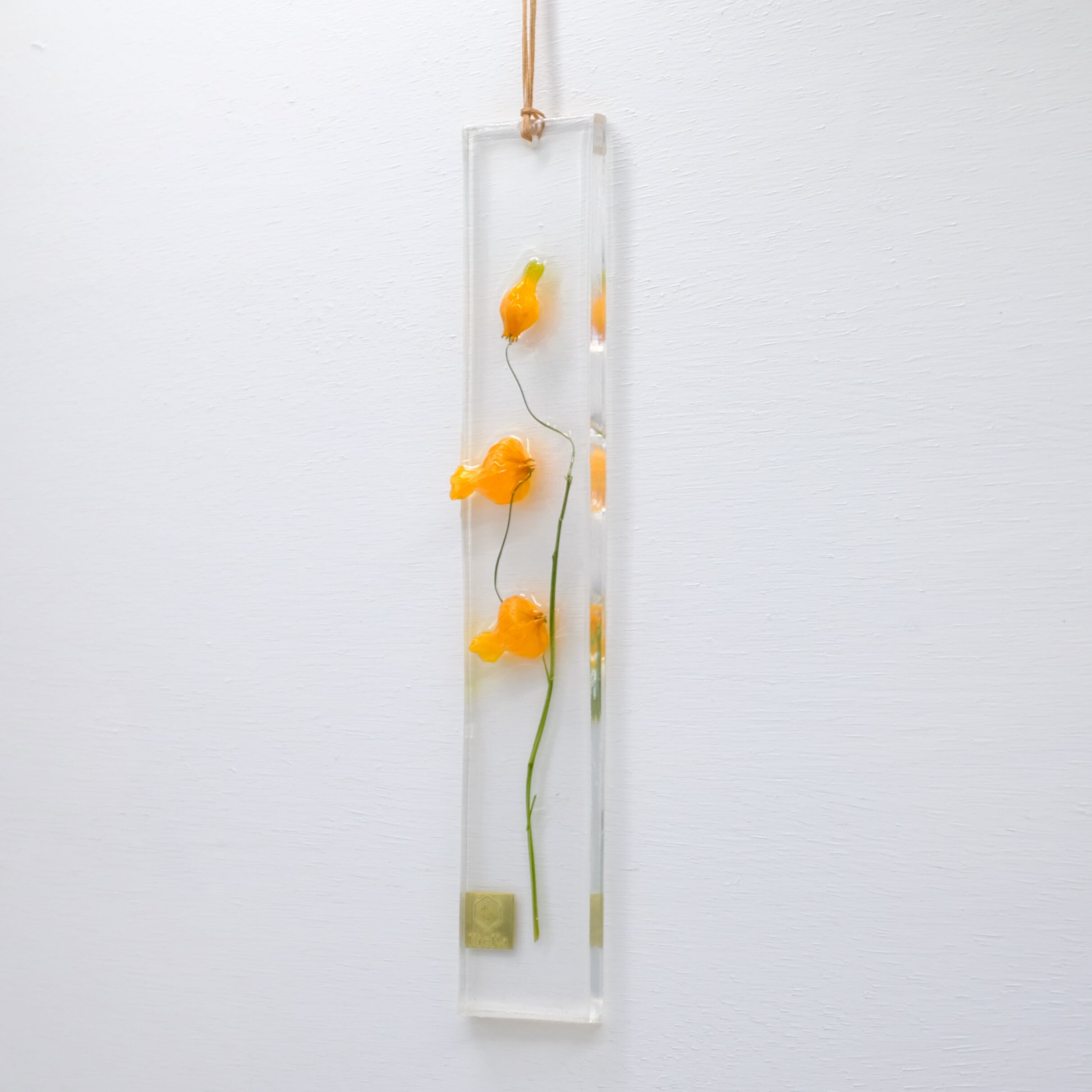 Dried Flower S サンダーソニア Kieka