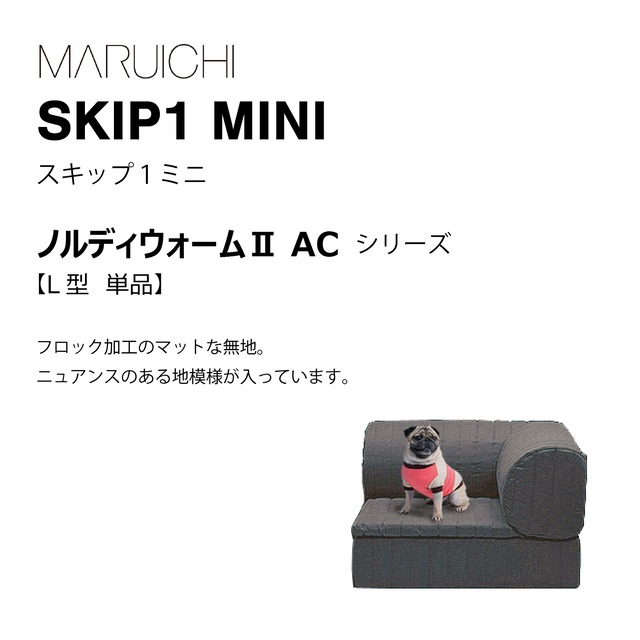 SKIP1 MINI（ノルディウォームⅡAC）L型単体