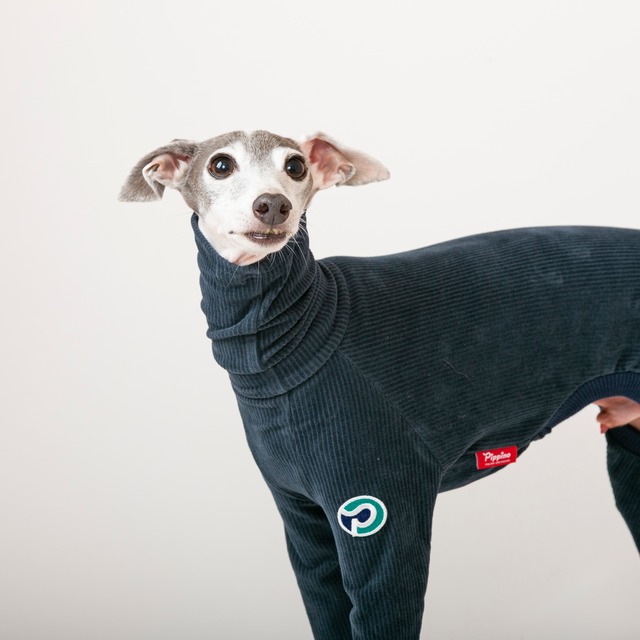 コーデュロイロンパース　navy / イタグレ服