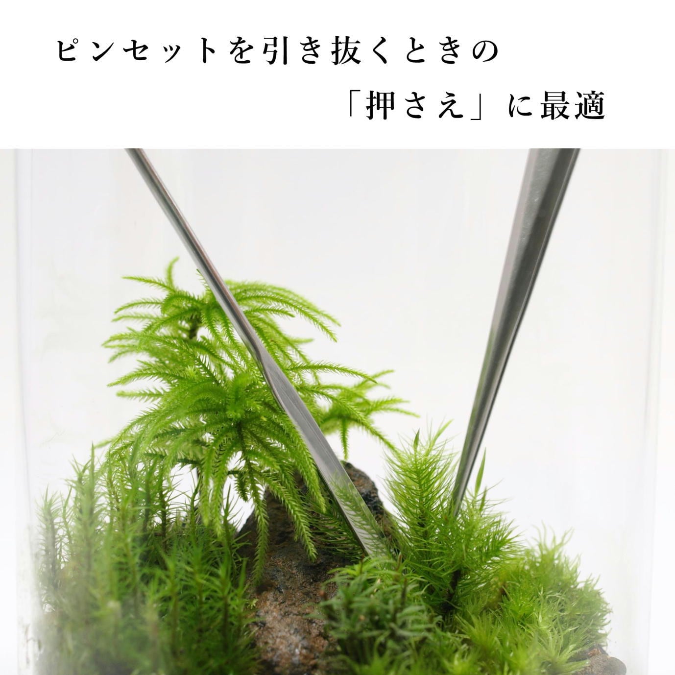 苔テラリウム作製用ツール】ミクロスパーテル | 苔テラリウム専門
