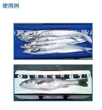 青物用クーラーバッグ 776−角 80cm | 東海つり具 公式オンラインストア