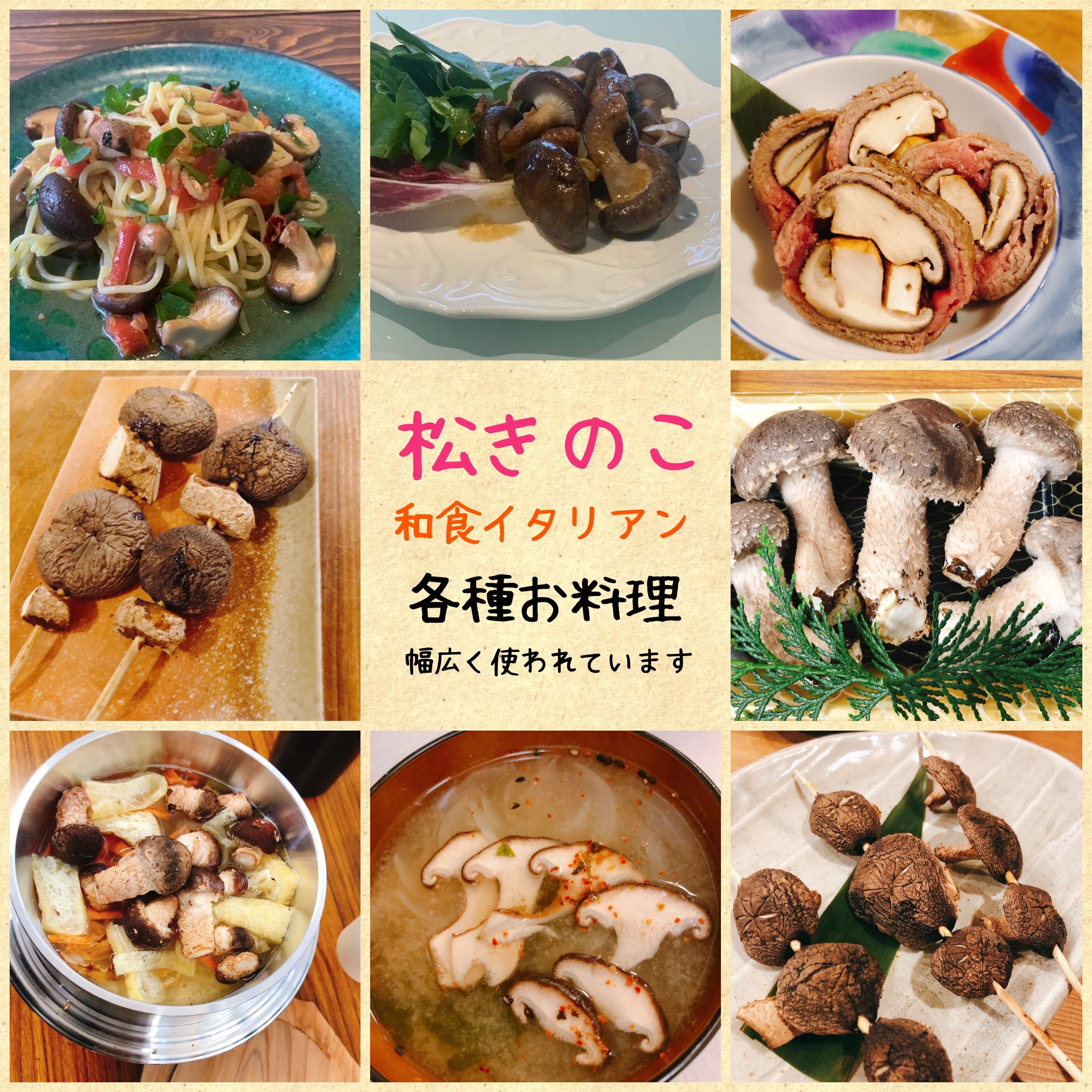 まずはコレ‼️浜松きのこ500g入り | 丸昌 - marusyo -