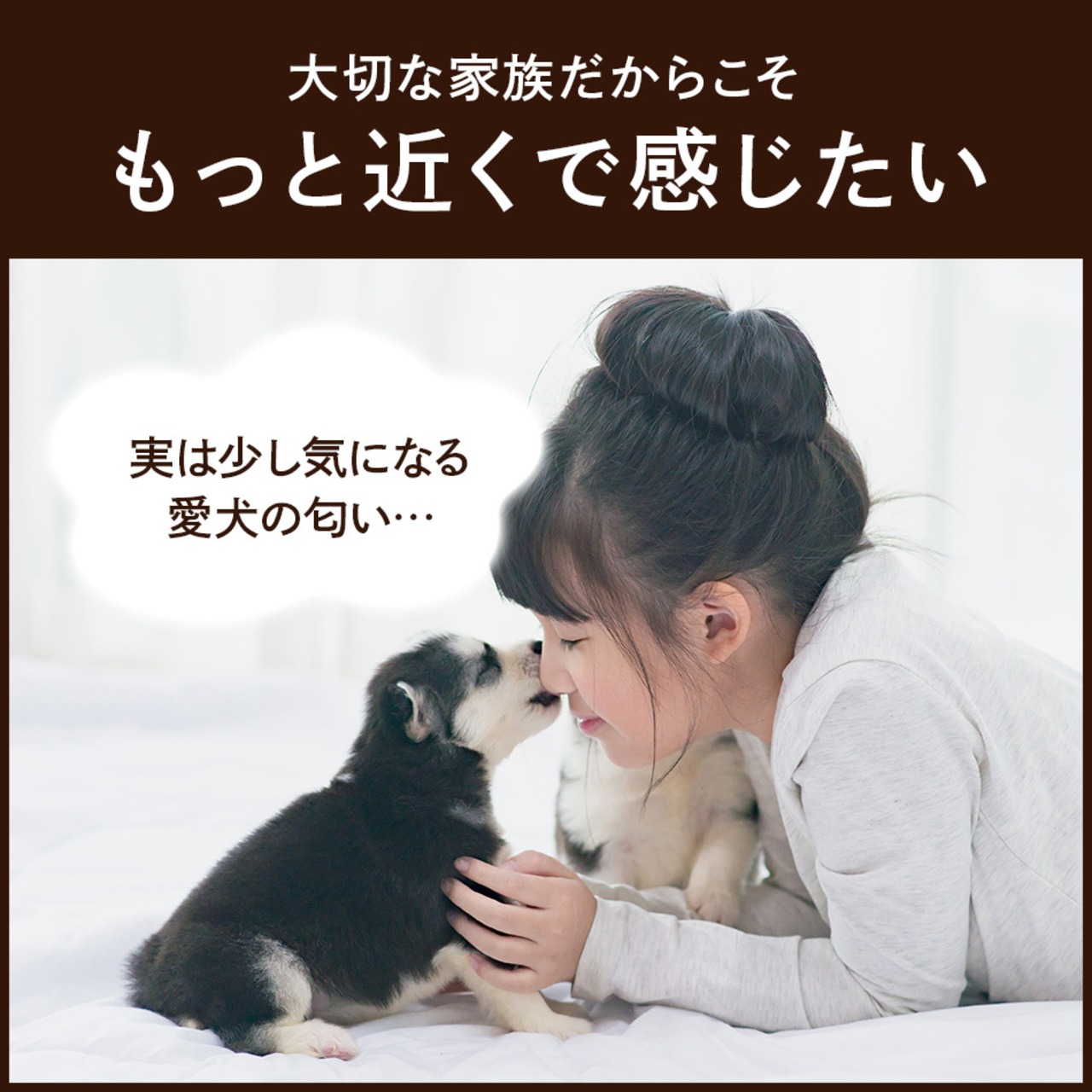 コピー：【送料無料】カテキンキューブ 4個セット｜ 犬用おやつ/ドッグフードのペットフードショップ ホウワ