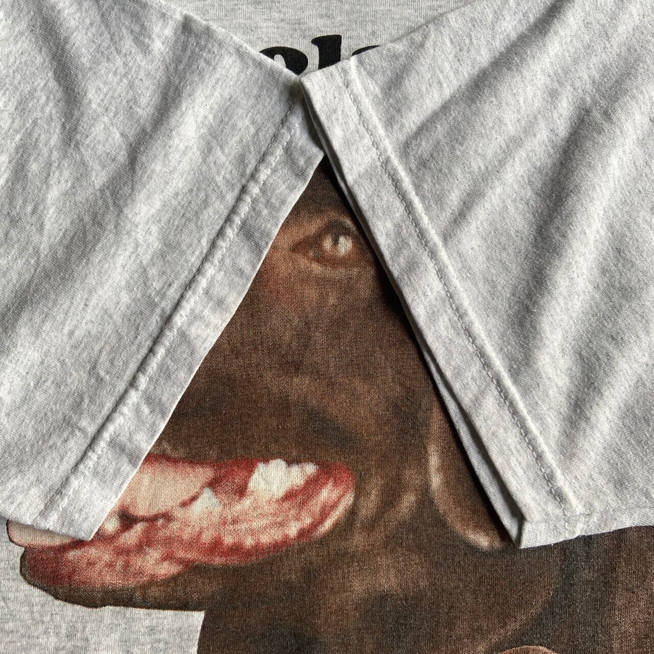 その他ブランド / Vintage/90s/Chocolate Lab/ラブラドールレトリバー/犬Tシャツ/SIZE:XL/GRY ビッグサイズ 00年代 Chocolate Lab ラブラドールレトリバー アニマル