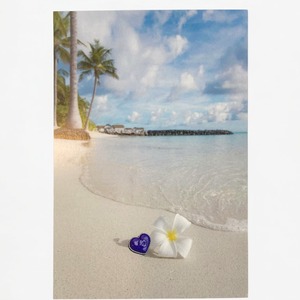 ポストカード「太陽のように自由に。風のように気ままに。」summer ver.