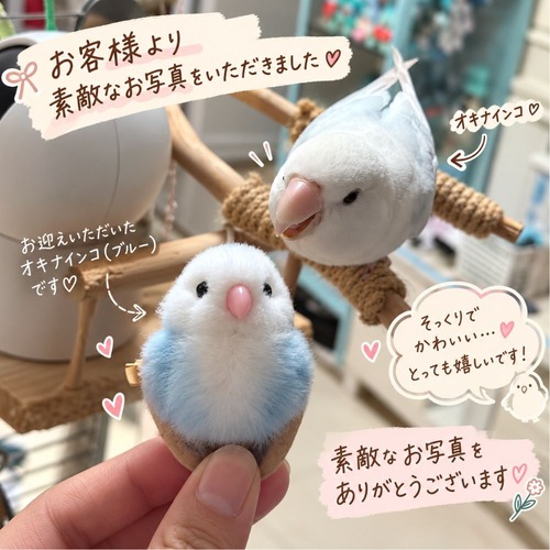 インコ ブローチ ストラップ 鳥 グッズ ぬいぐるみ ふわふわ 小鳥 セキセイインコ オカメインコ コザクラインコ オキナインコ 鳥好き かわいい リアル アクセサリー バッグチャーム キーホルダー プレゼント ギフト 商品画像12