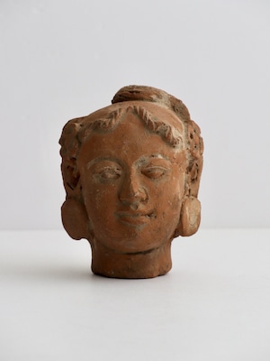 テラコッタの首像|Terracotta Decorative Bust