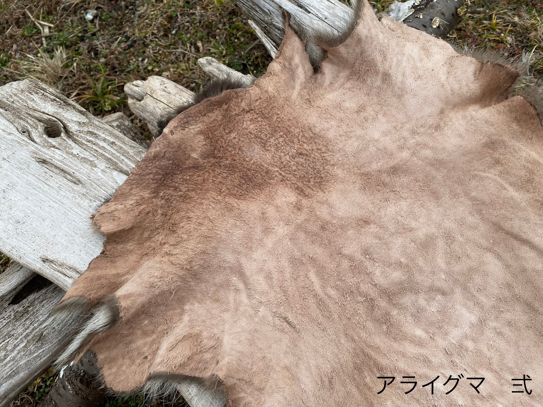 アライグマ毛皮 【製法】ピットタンニン鞣し | 【Bushcraft komorebi】