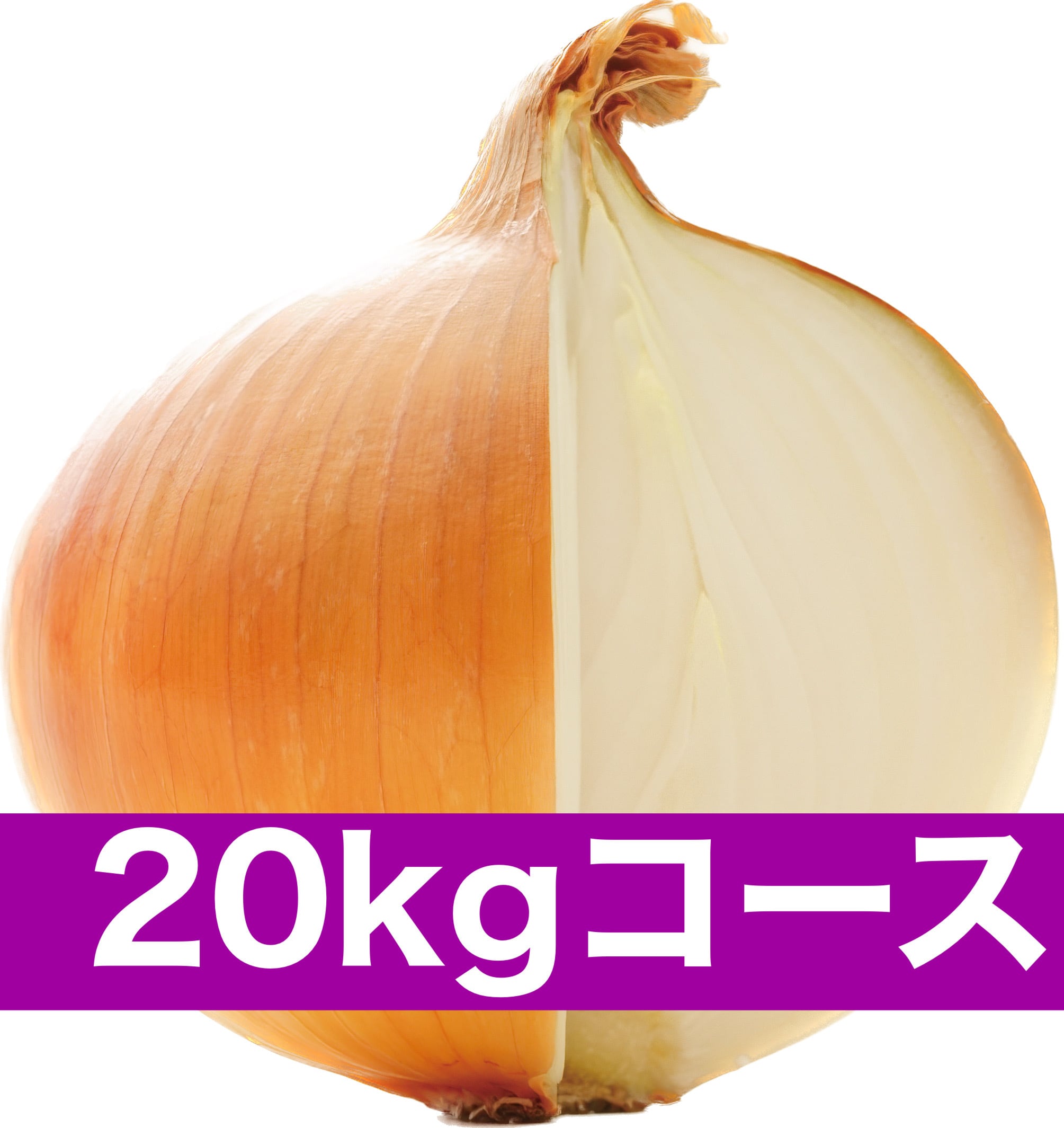 一番玉ねぎ定期便】3kgコース：1ヵ月に1回お届け 送料込み | 原田