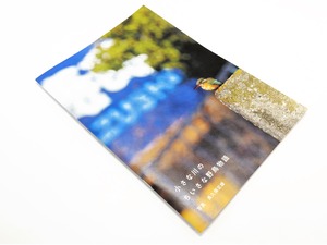 小さな川のちいさな野鳥物語 ｜長久保定雄  A Story of Little Birds at the Small River by Sadao Nagakubo