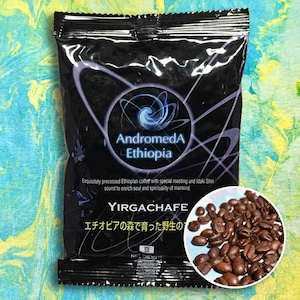 原種のコーヒー アンドロメダエチオピア ヤルガッチャフェ YARGACHAFE / コーヒー豆 / 100g