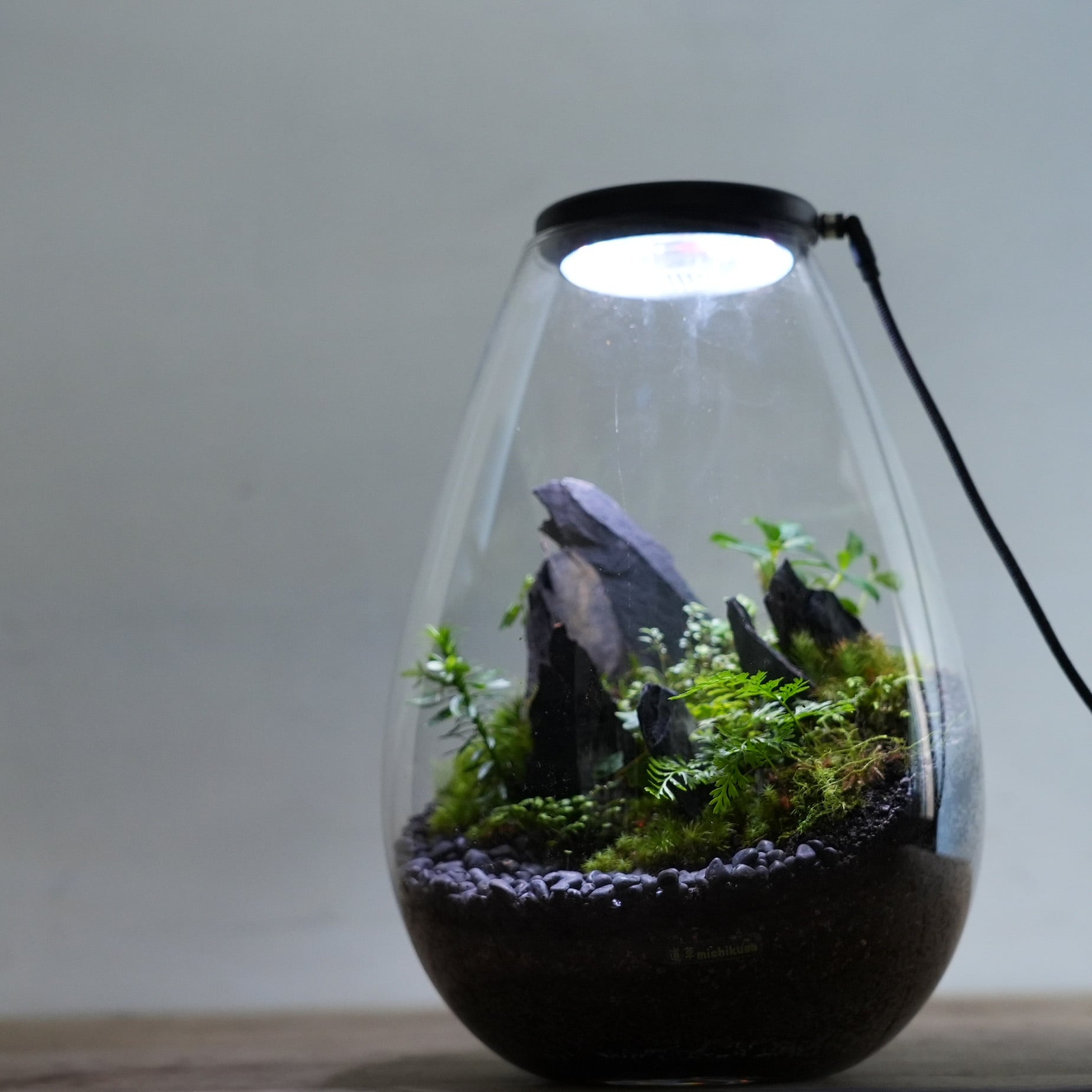 オーダー参考】悪魔の砦◇換気機能付きLEDAir＆lighセット | 苔