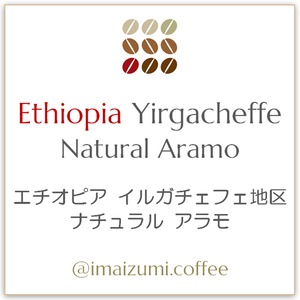 【送料込】エチオピア イルガチェフェ地区 ナチュラル アラモ - Ethiopia Yirgacheffe Natural Aramo - 300g(100g×3)
