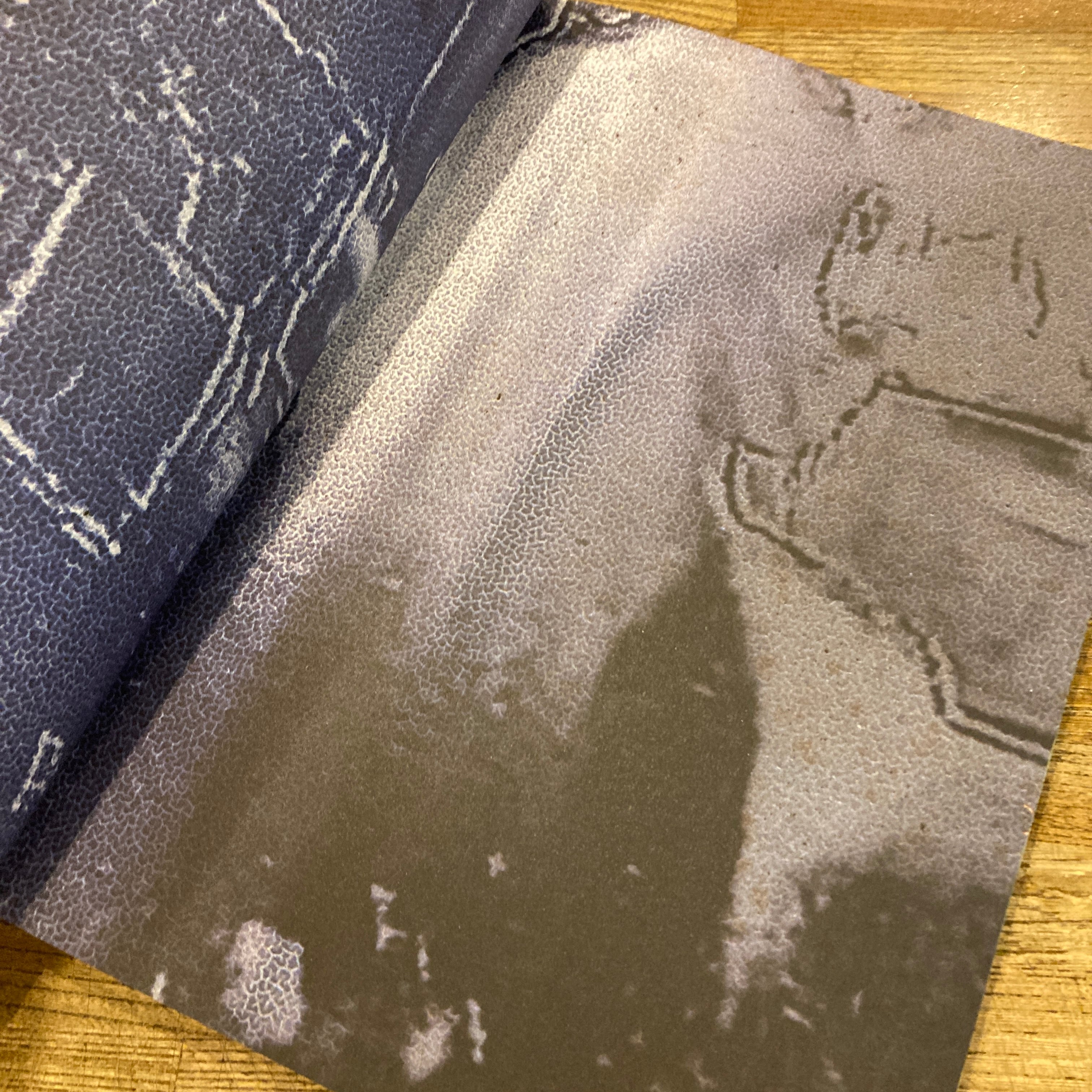 Berlin/横田大輔（サイン入り） サイン入/Signed] Berlin / 横田大輔(Daisuke Yokota) | b