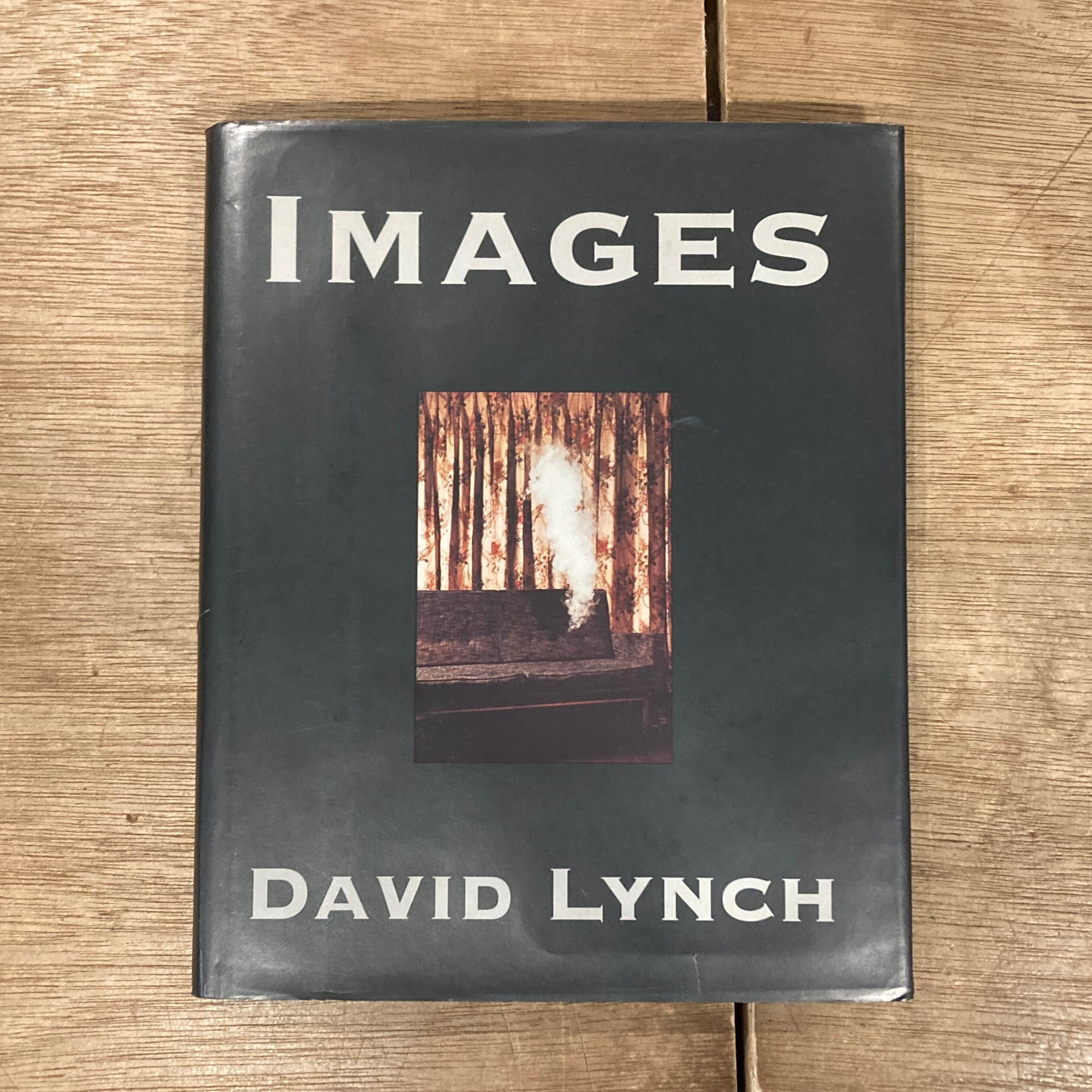 デヴィッド・リンチ展覧会カタログ（1992年スペイン英語併記）東京1996年購入 IMAGES David Lynch デヴィッド・リンチ デイヴィッド・リンチ | 百年