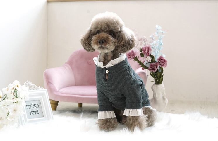 【SALE】プリンセスニット 2color S ~ 2XL / 犬の服 犬服 ペット洋服 ドッグウェア ペット用品 小型犬 中型犬 top49