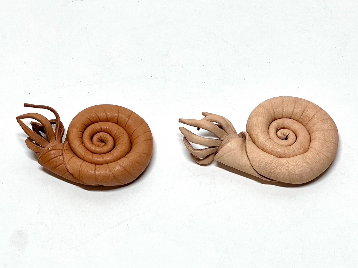 革で作ろう！工作キット【アンモナイト】 | Lilyleather Design