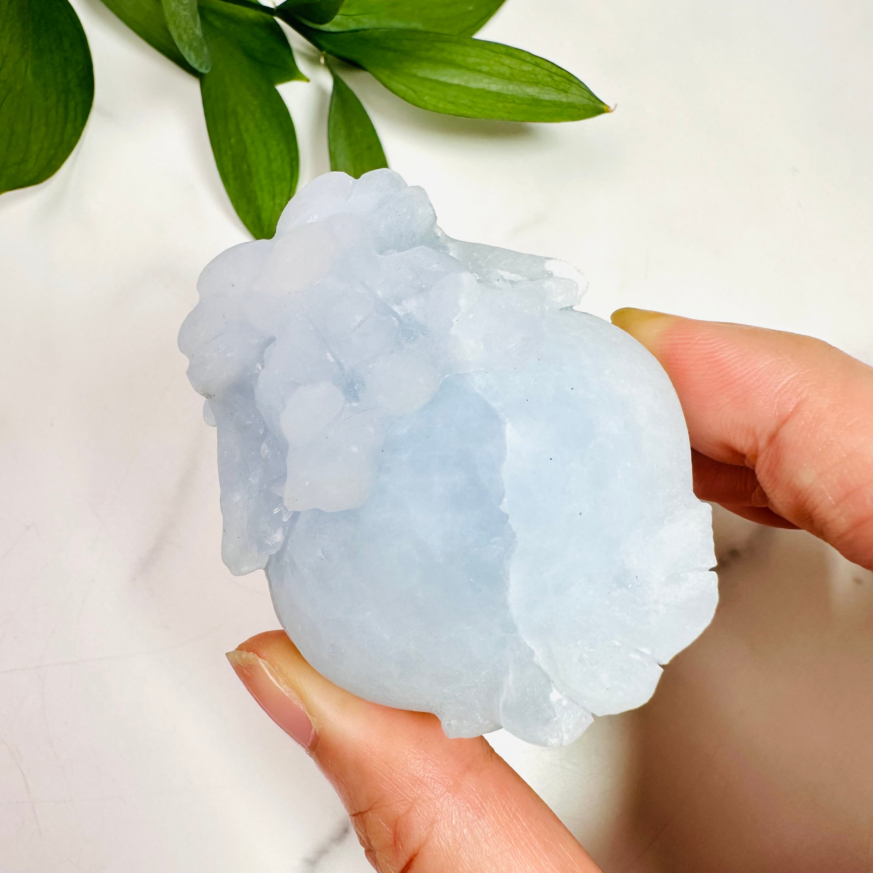 天然石 ロングイ あきずき⭐️ブルームーンストーン 龍亀 ロングイ