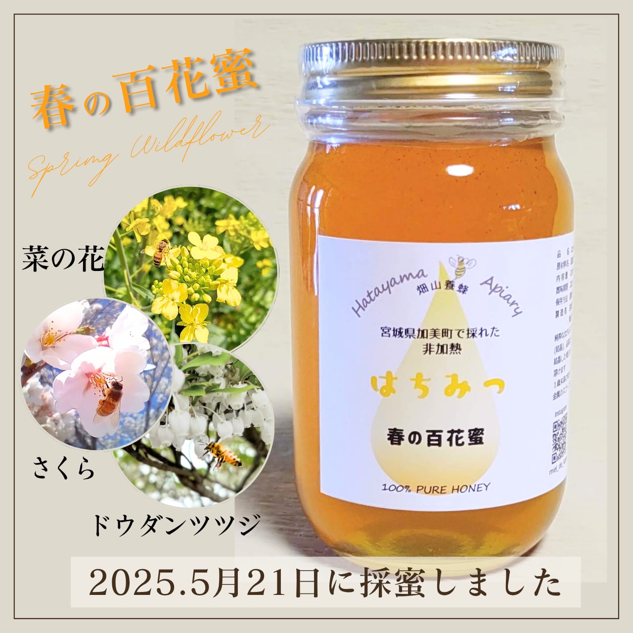 日本蜜蜂の純粋天然生百花蜜 白いクリーム状結晶300g サラサラ琥珀蜜