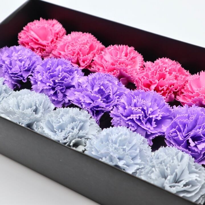 カーネーションC-MIX3薄ブルー,紫,濃ピンク(15輪入り)