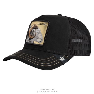 Goorin Bros. Golden Legend VOID