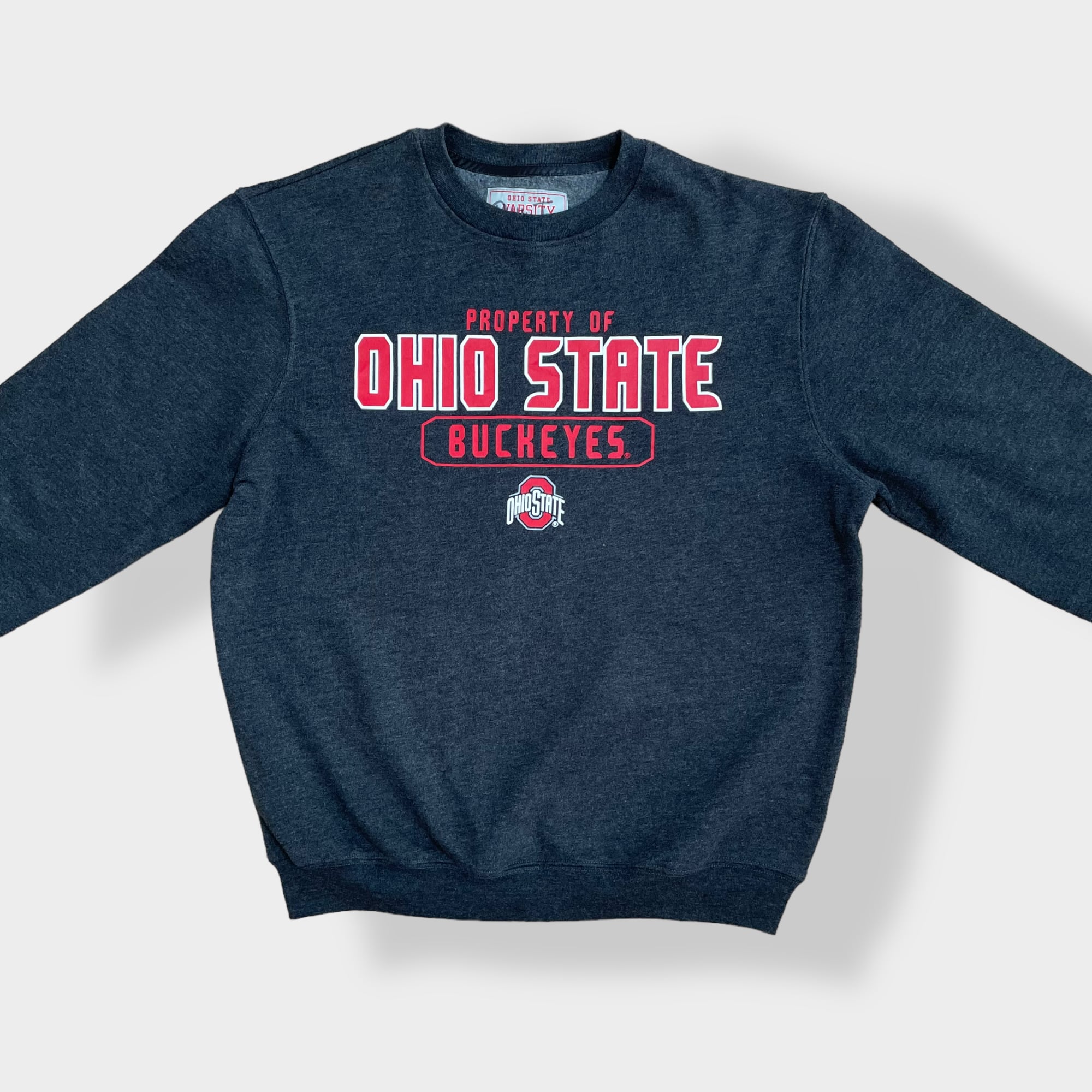 VARSITY】カレッジロゴ オハイオ州立大学 バックアイズ フットボール