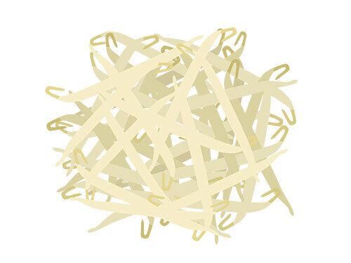 束になった、緑豆もやしのイラスト | イラストセンター有料素材販売 束になった、緑豆もやしのイラスト | イラストセンター有料素材販売