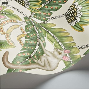 輸入壁紙　Cole & Son Bush Baby