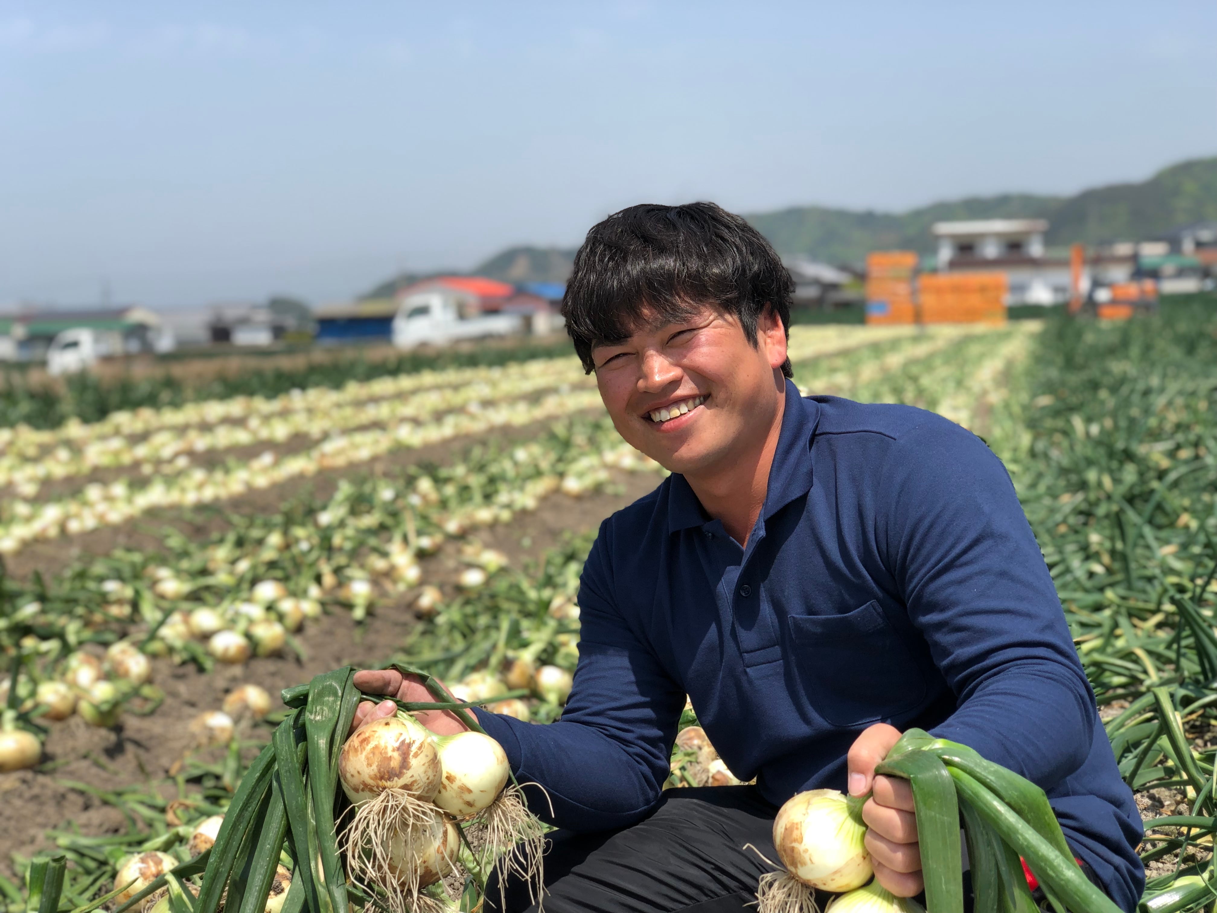 淡路島新玉ねぎ 新一番 10kg 送料・税込み | 原田兄弟の一番玉ねぎ