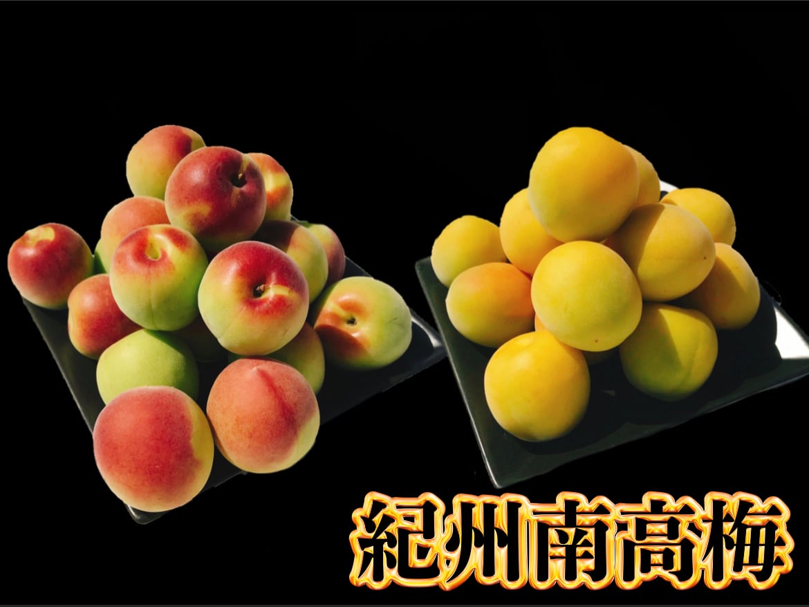 和歌山県産　紀州南高梅　秀品　3L-2Lサイズ　5Kg 購入時に選べます | Smile Fruitみかんキング powered by BASE