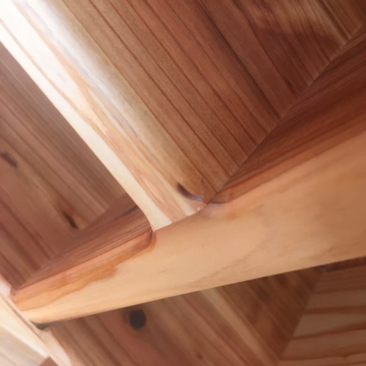 国産杉の無垢材を使用】 角が丸く安心安全 ツリー型 ブックシェルフ