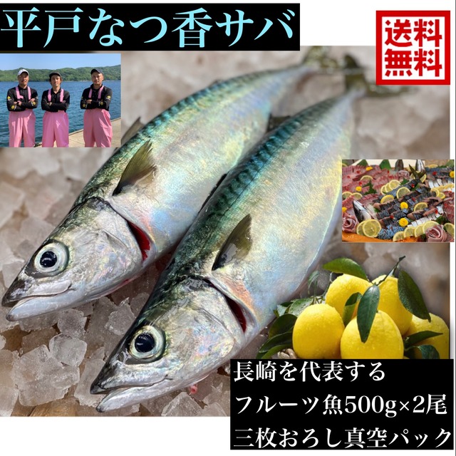 平戸なつ香サバ 約500g ２尾 三枚おろし 真空パック 送料無料 坂野水産