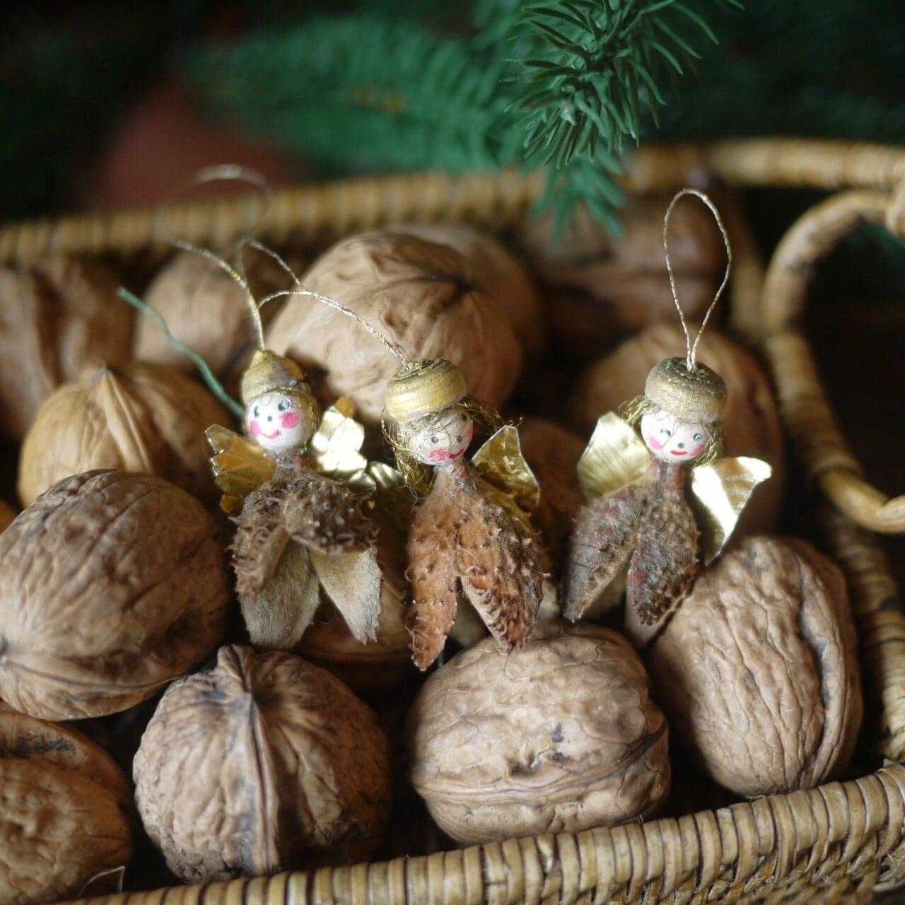 木の実オーナメント ブナの天使3人 bucheckern hülsen
