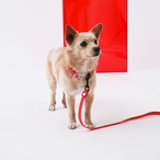 【PUPPYGALLERY公式】オールウェザー防水ハート首輪　L