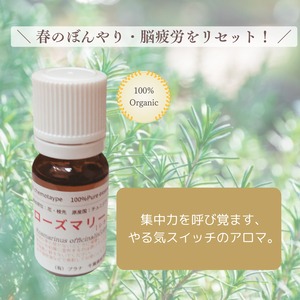 ローズマリー[シネオール]（５ml）