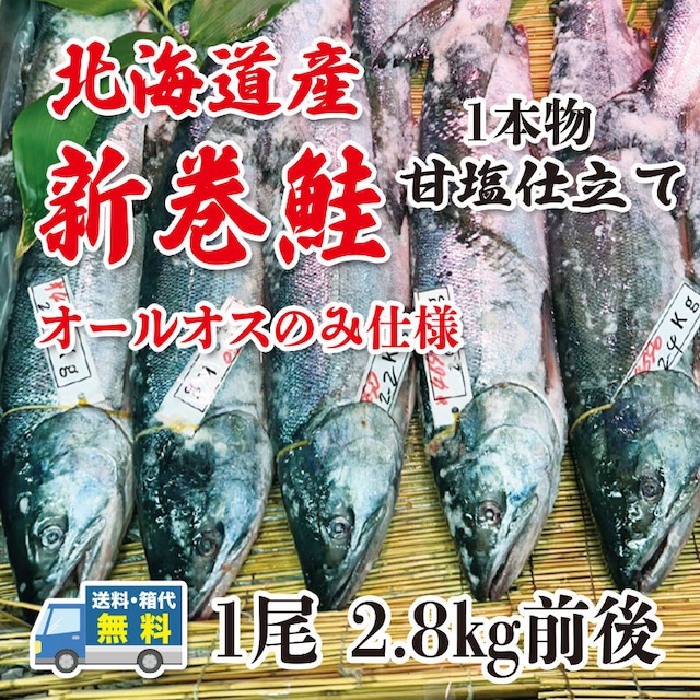 日高産新巻鮭　甘塩仕立て　1尾2.8kg前後 【送料・箱代無料】