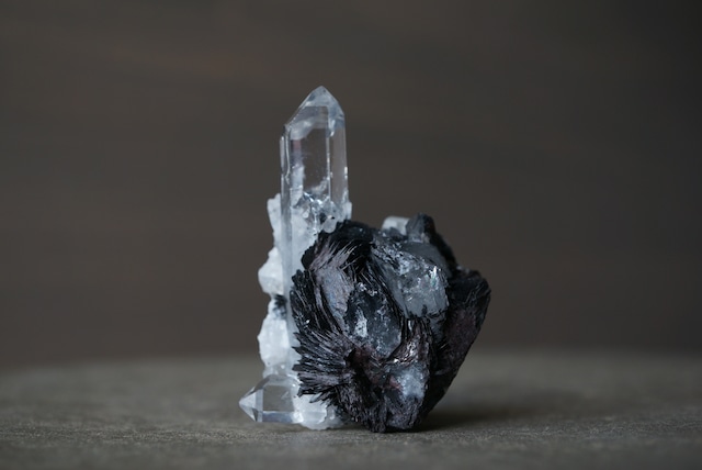 アイアンローズ/クォーツ Iron Rose/Quartz 1910