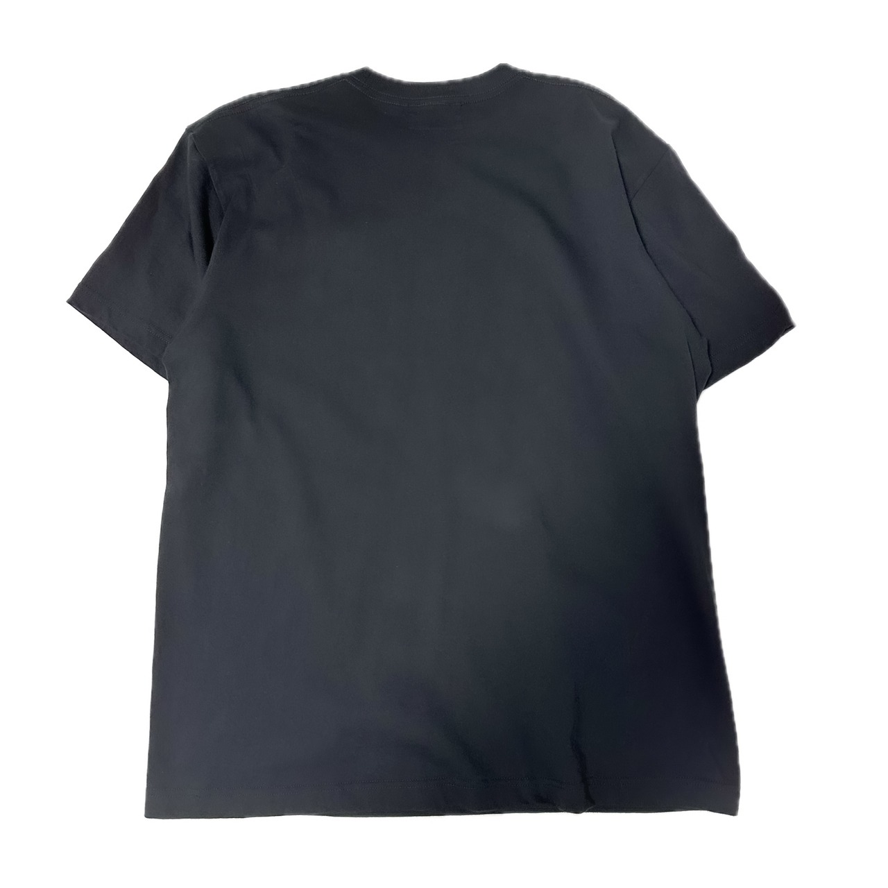 UNFINISHED AppleTシャツ24070