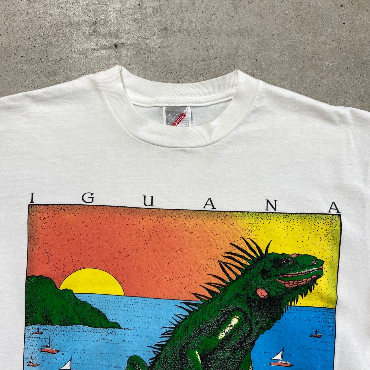 90年代 USA製 IGUANA イグアナ アニマルプリントTシャツ アート メンズ 