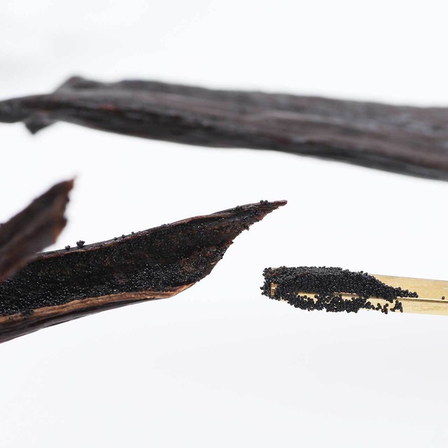 【本数多いほど1本価格がお得！】【ブルボン種・最上位グレード・バニラビーンズ・200g】