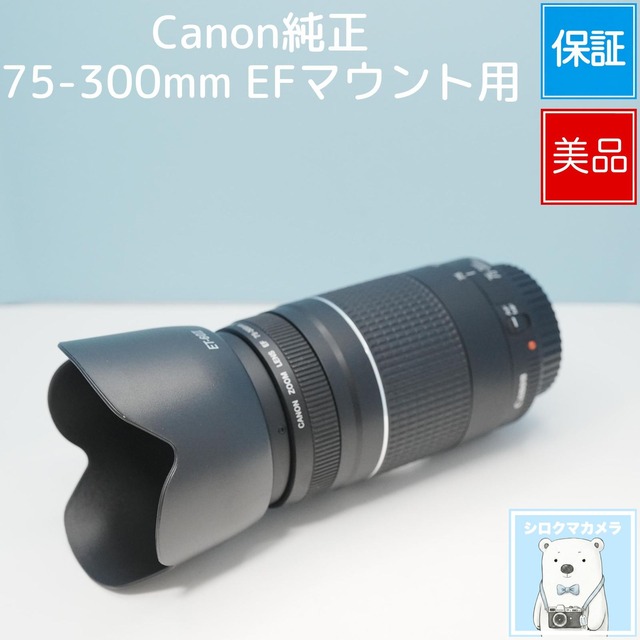 Canon純正 75-300mm EFマウント用 望遠レンズ 極美品 シロクマカメラ a7478