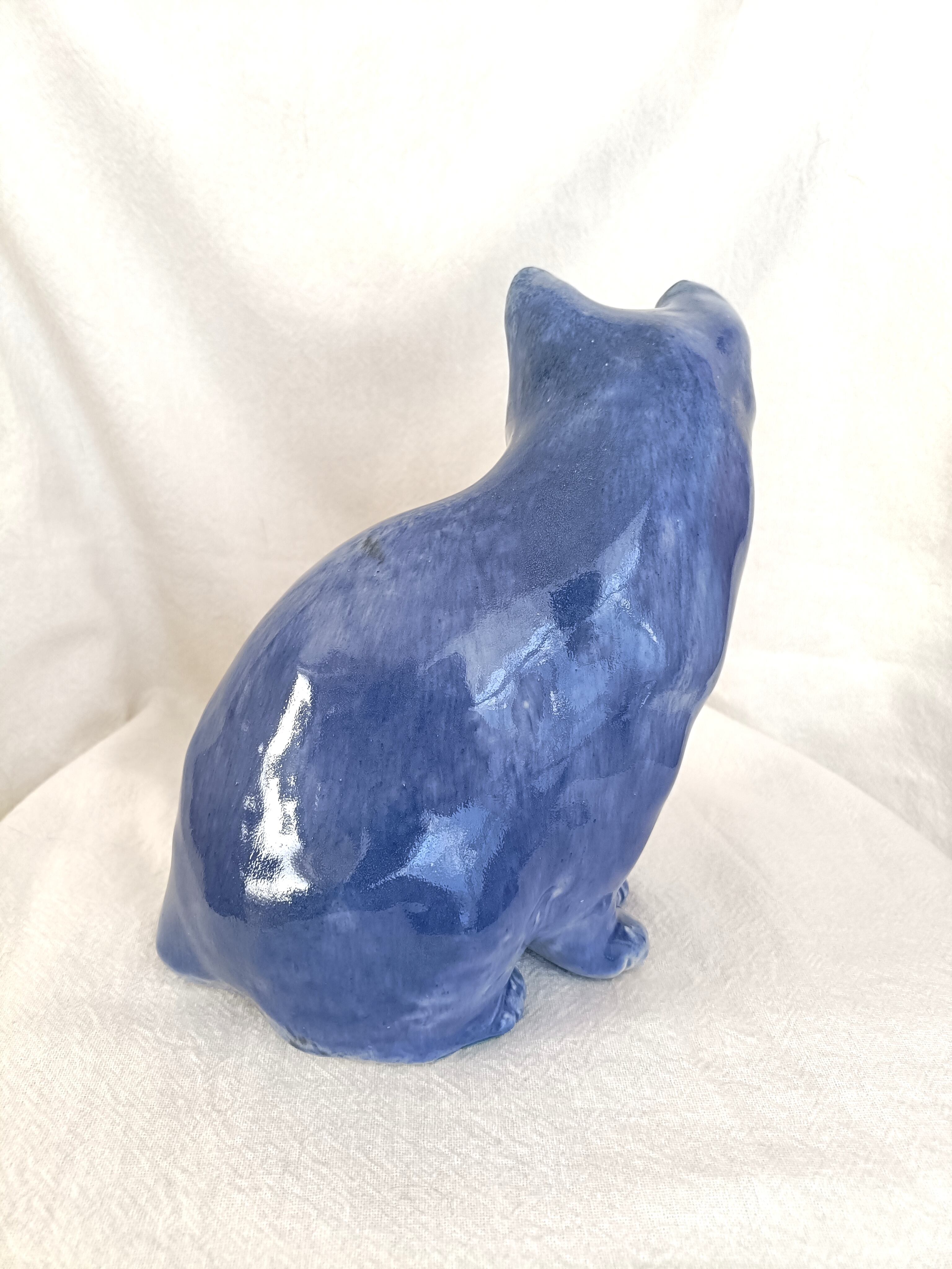 ケンジントンキャット （ウィンスタンレイキャット） ブルーキャット