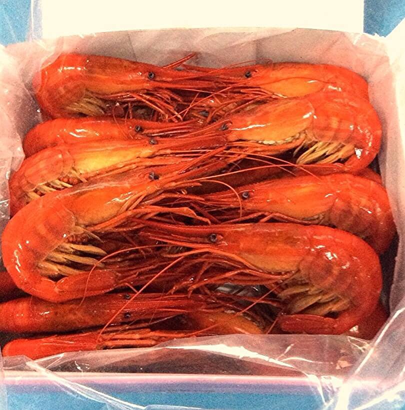 尾岱沼名産 秋の北海しまえび 子持ち 大サイズ 1kg 大隅商店ネットショップ部 尾岱沼名産 秋の北海しまえび 子持ち 大サイズ 1kg 大隅商店ネットショップ部