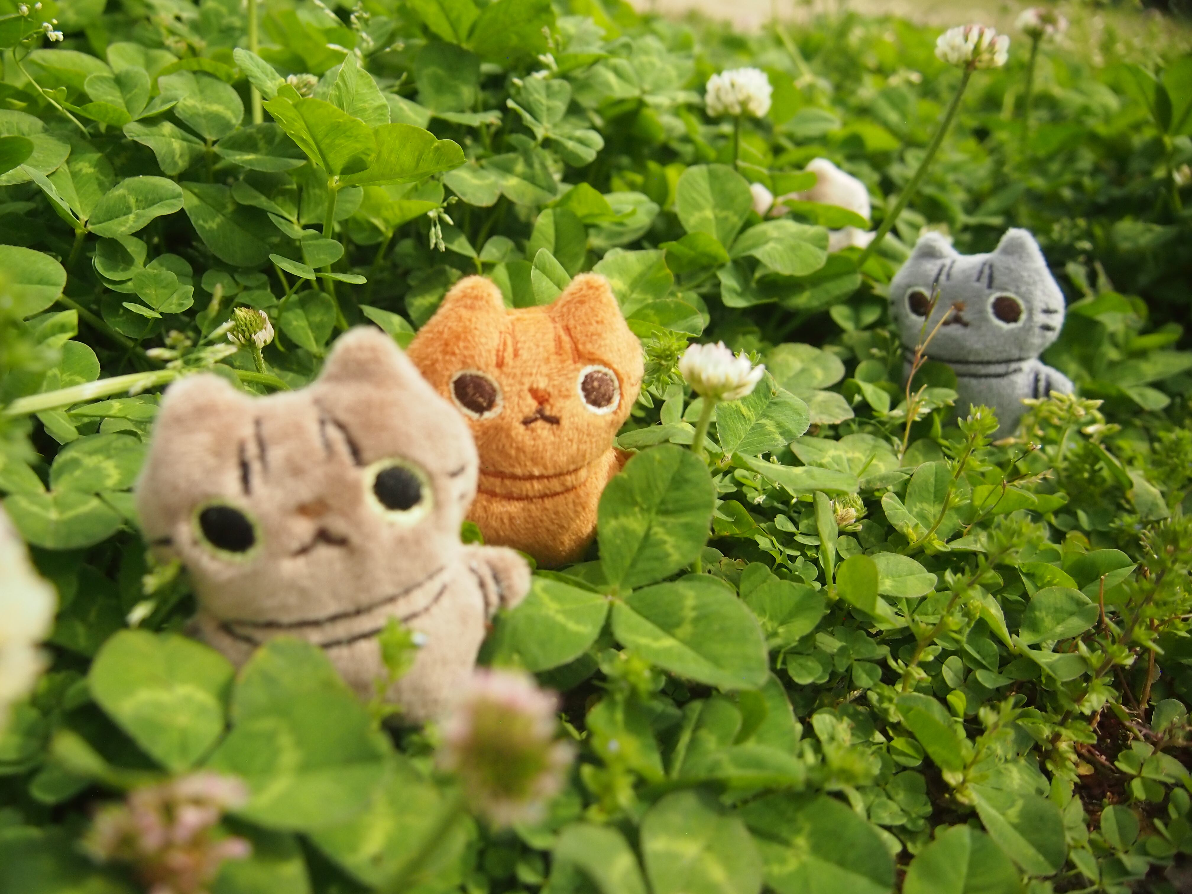 とらちっさねこ(うちねこカスタマイズ) | あすの(ぬいとか)研究所