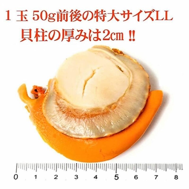 特大ボイルほたてLLサイズ（佐呂間産）1kg 18粒前後